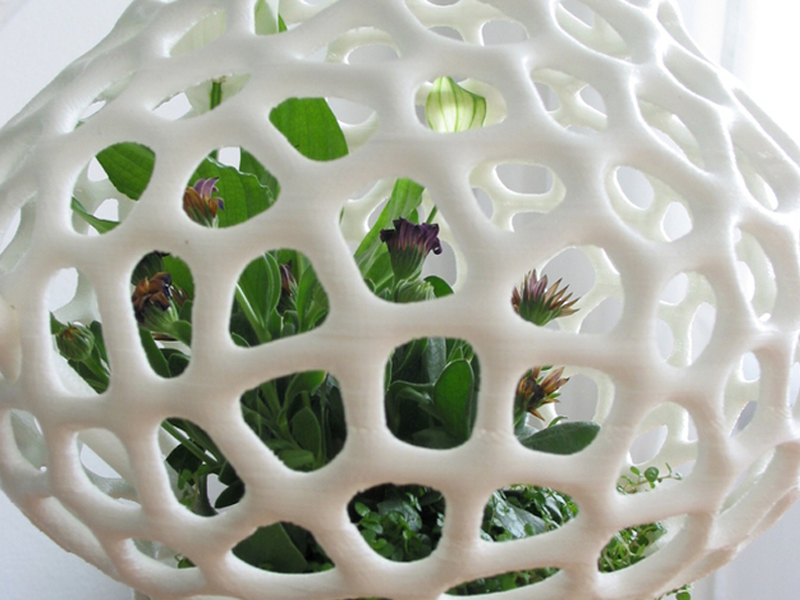 植物太空船
