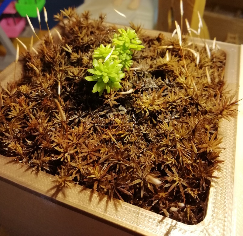 灯光版云朵花盆