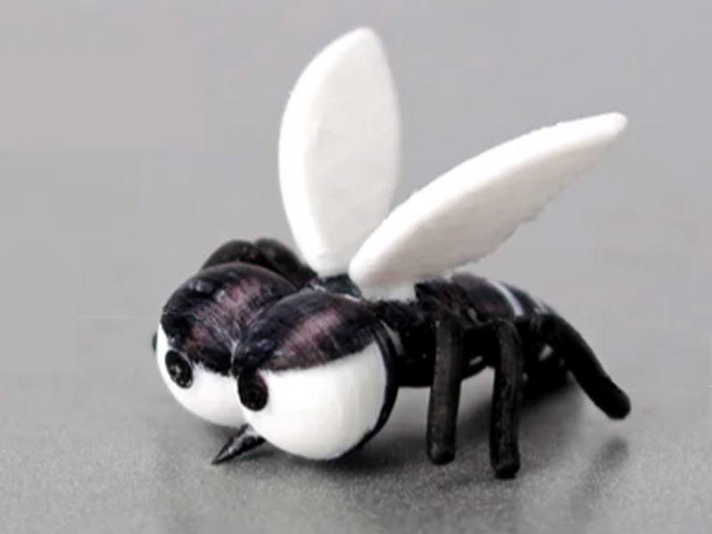 蚊子 蚊子