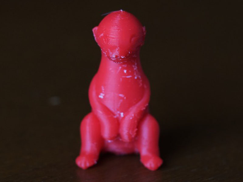 小猫鼬