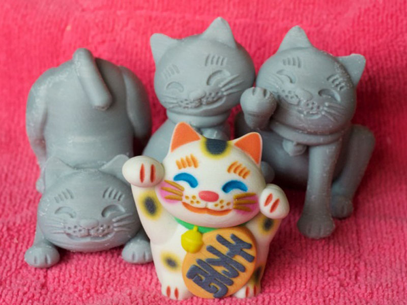 拳击的猫
