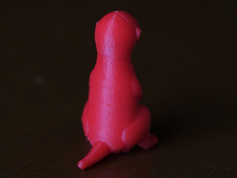 小猫鼬