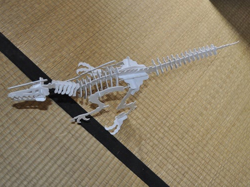迅猛龙3D拼图