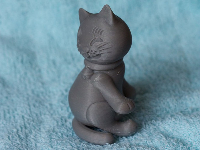 回头的猫