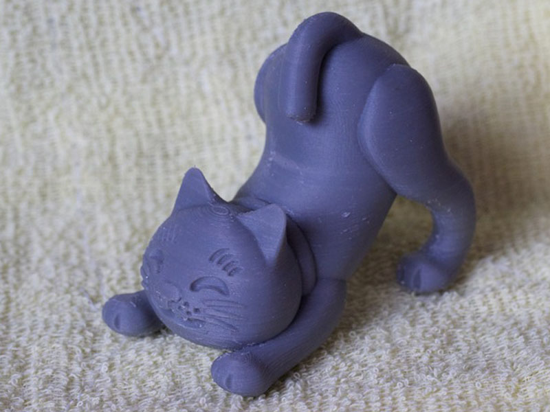 伸展的猫
