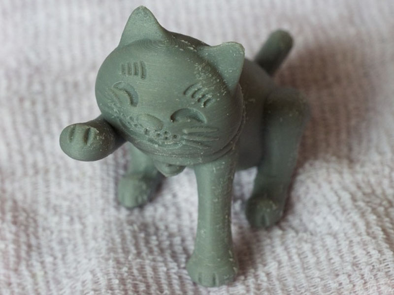 拳击的猫