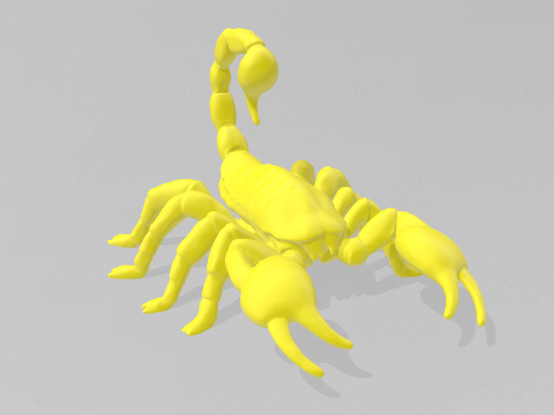 蝎子