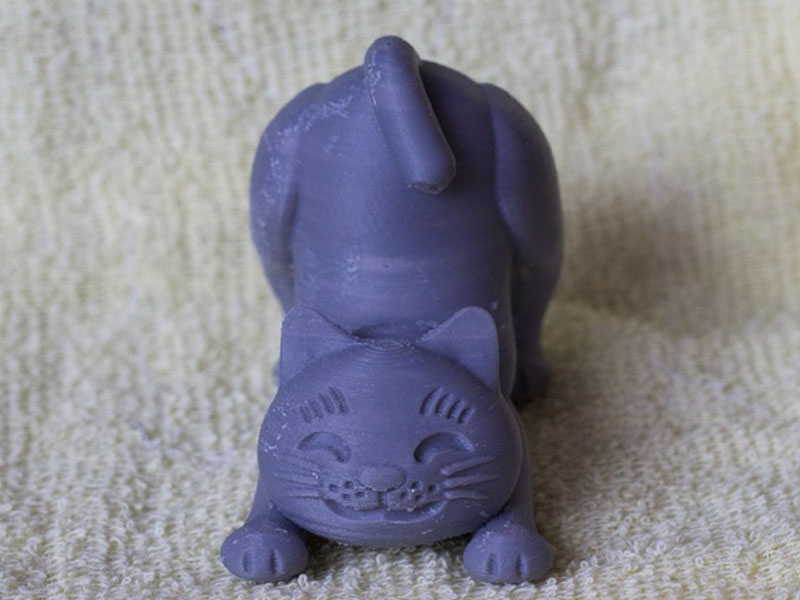 伸展的猫