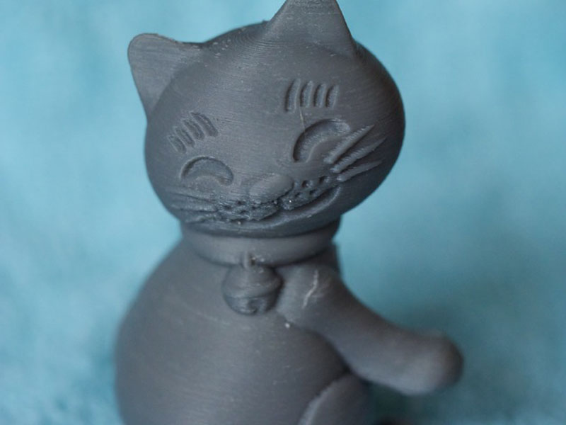 回头的猫