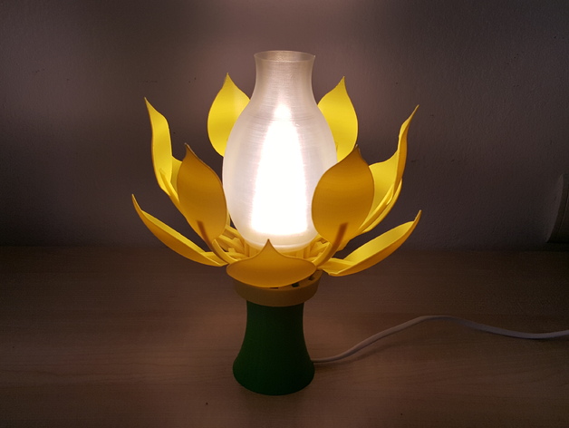绽放的花灯 绽放的花灯